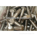 Stainless Steel 304 Bolts